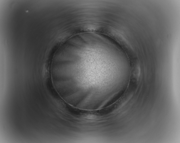 X0000089710743200707051701