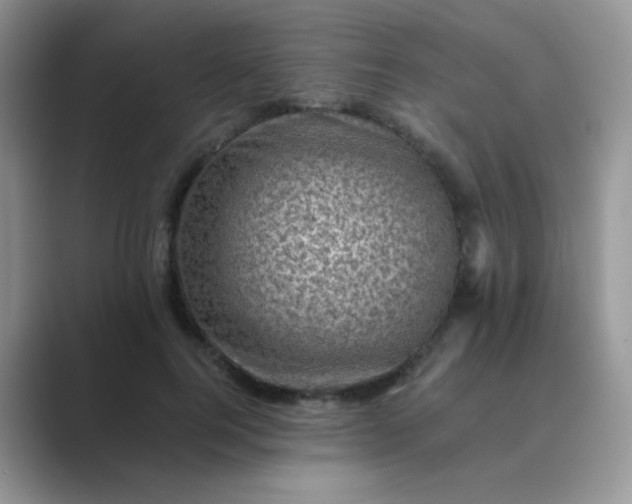 X0000089710744200707051701