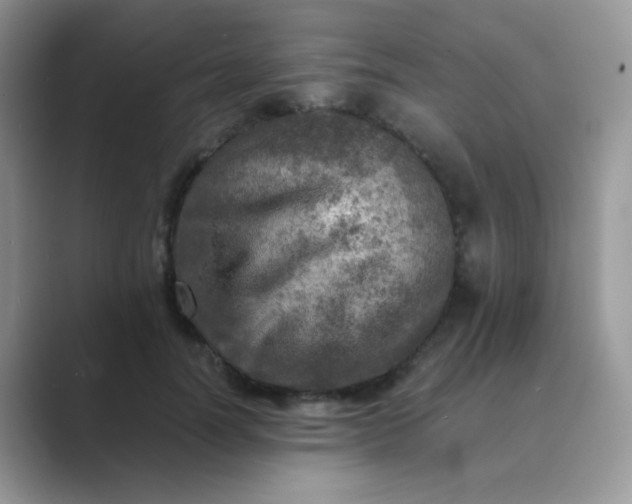 X0000089710746200707051701