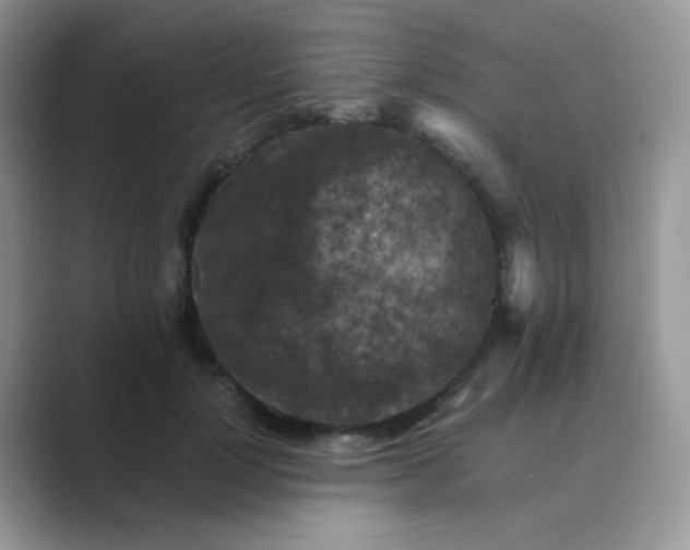 X0000089710748200707051701