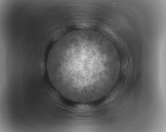 X0000089710749200707051701