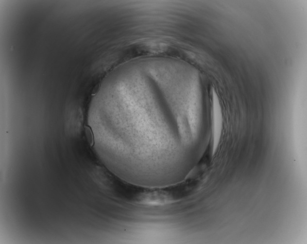 X0000089710752200707051701