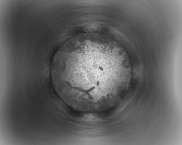 X0000089710753200707051701