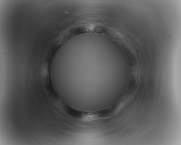 X0000089710754200707051701