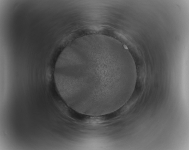 X0000089710758200707051701