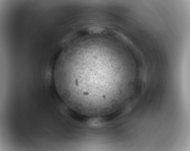 X0000089710761200707051701