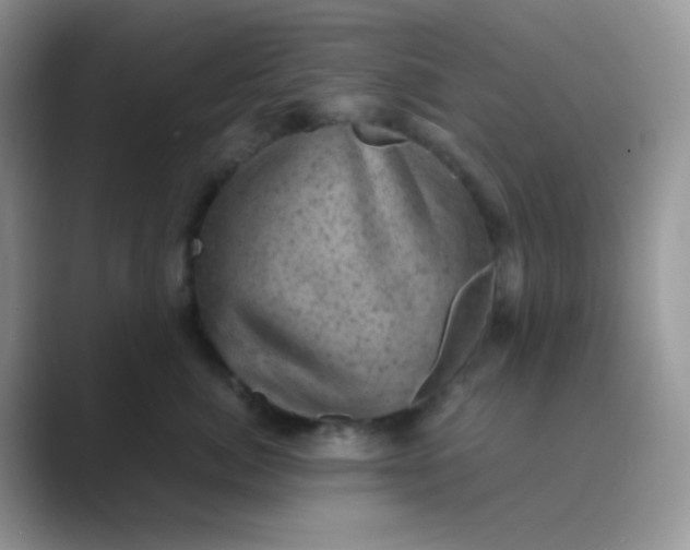 X0000089710764200707051701