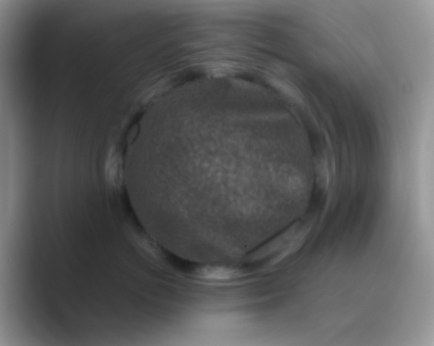 X0000089710766200707051701