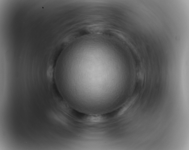 X0000089710767200707051701