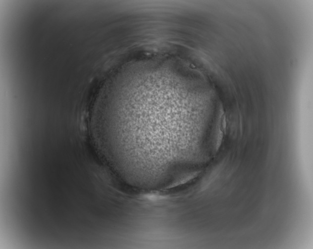 X0000089710770200707051701