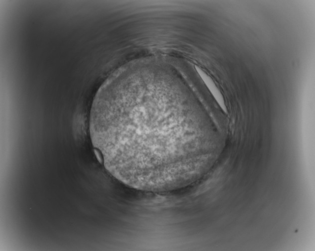 X0000089710772200707051701