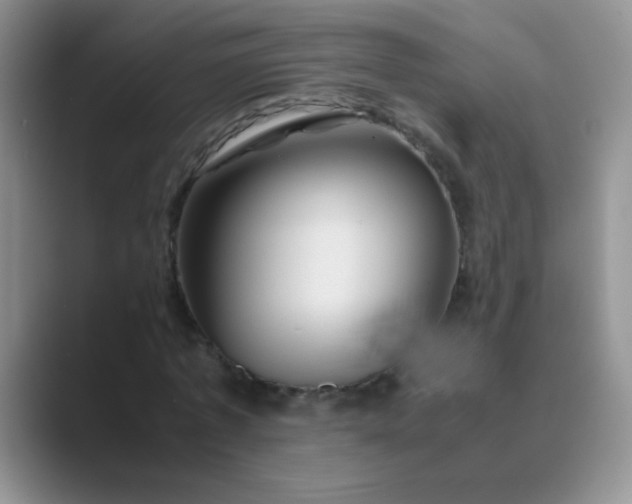 X0000089710773200707051701