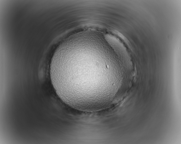 X0000089710775200707051701