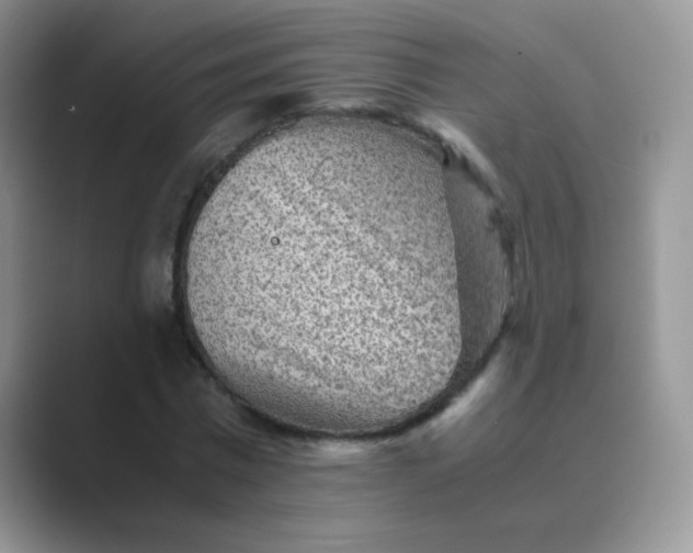 X0000089710777200707051701