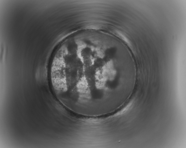 X0000089710779200707051701