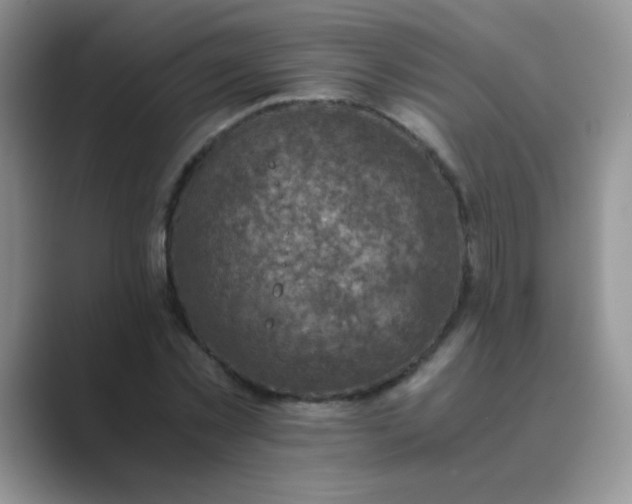 X0000089710781200707051701