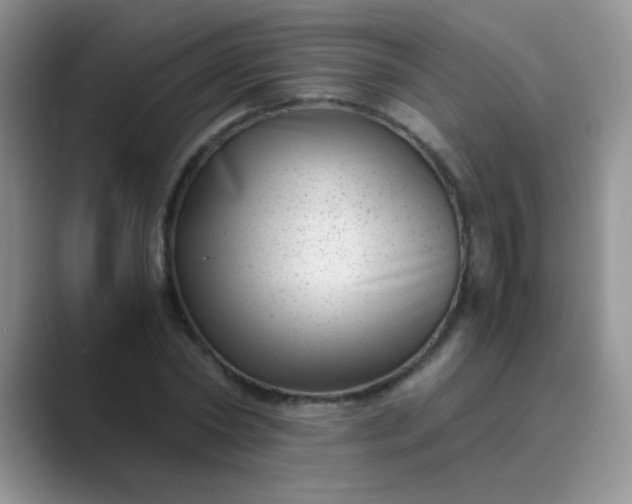 X0000089710782200707051701