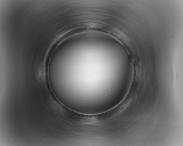 X0000089710784200707051701