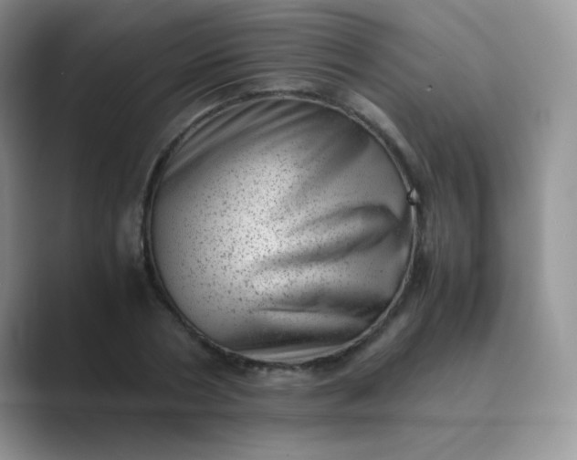 X0000089710786200707051701