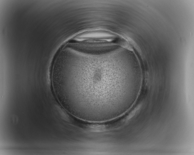 X0000089710789200707051701