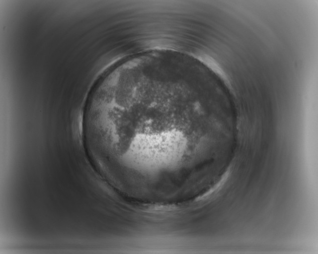 X0000089710790200707051701