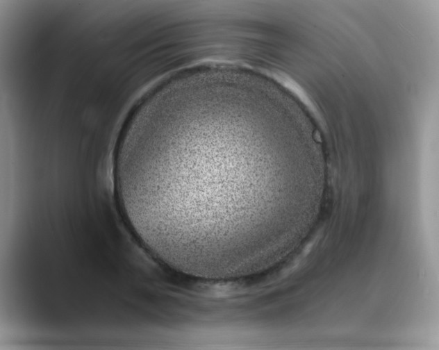 X0000089710791200707051701