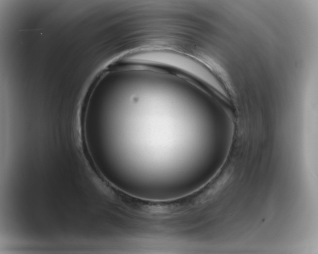 X0000089710792200707051701