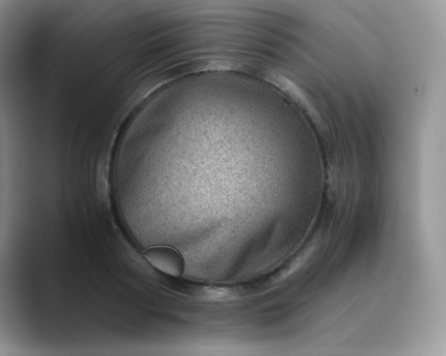 X0000089710794200707051701