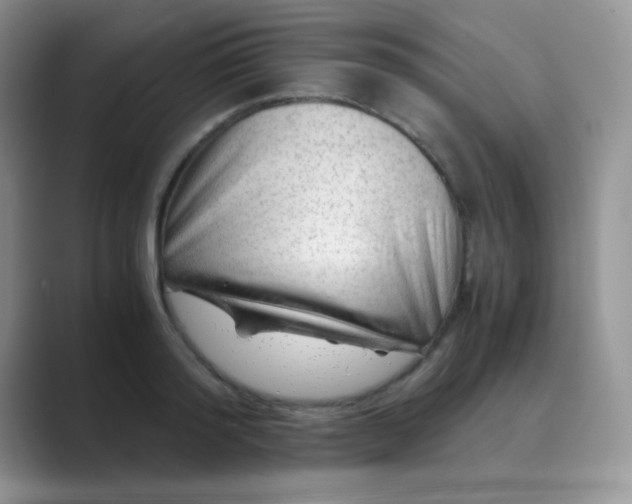 X0000089710796200707051701