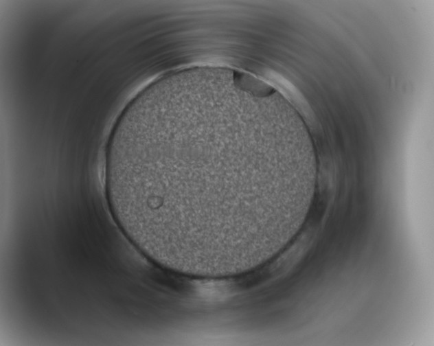 X0000089710804200707051700