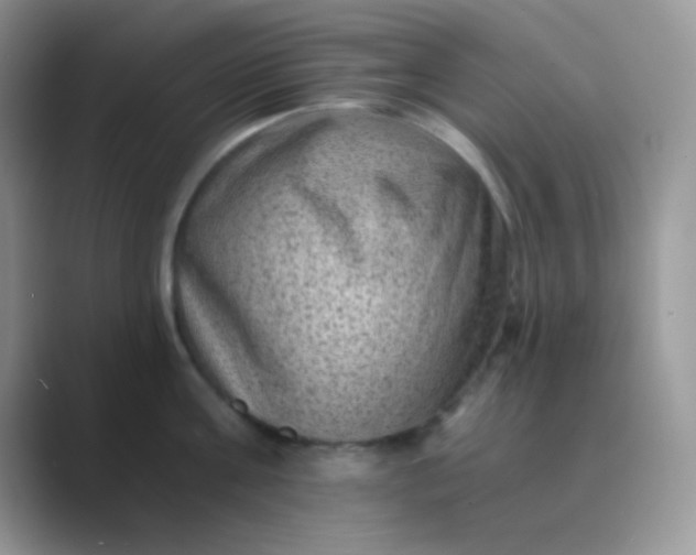 X0000089710811200707051700