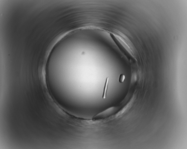 X0000089710812200707051700