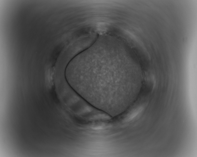 X0000089710818200707051700