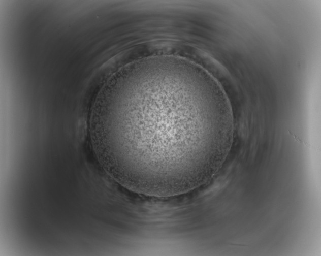 X0000089710821200707051700