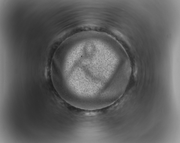 X0000089710822200707051700