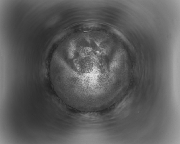 X0000089710823200707051700