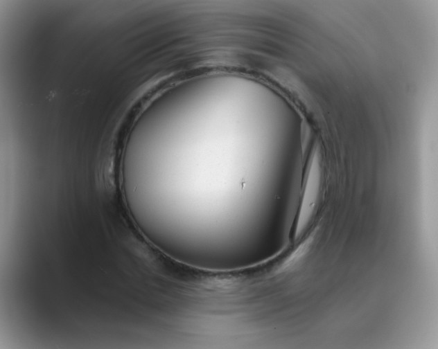 X0000089710830200707051700