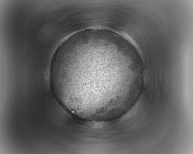 X0000089710831200707051700