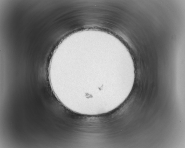 X0000089710832200707051700