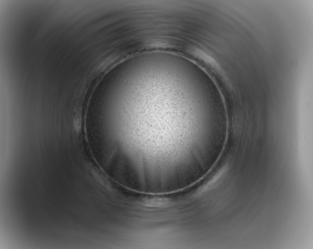 X0000089710833200707051700