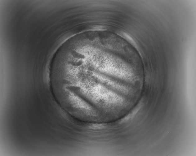 X0000089710835200707051700