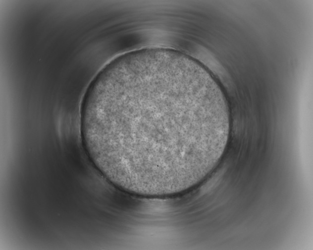 X0000089710836200707051700