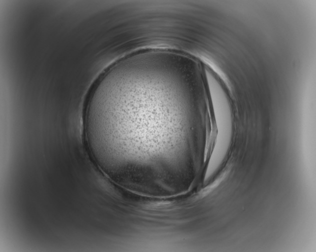 X0000089710837200707051700