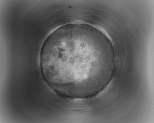 X0000089710839200707051700