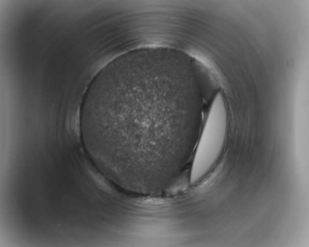 X0000089710842200707051700