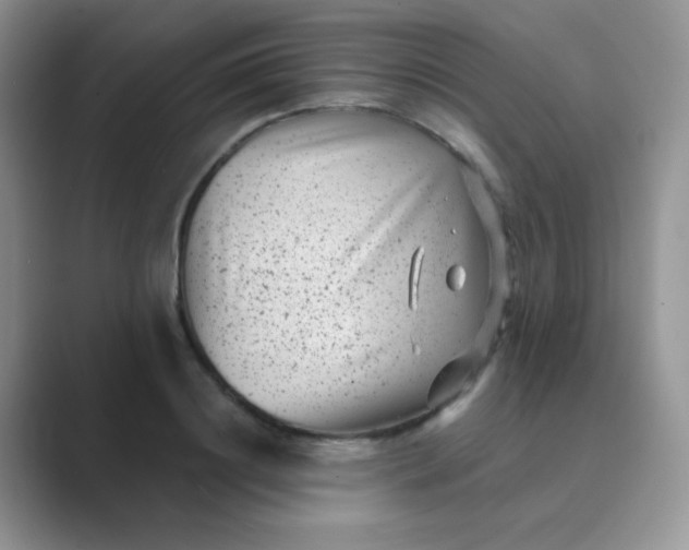 X0000089710844200707051700