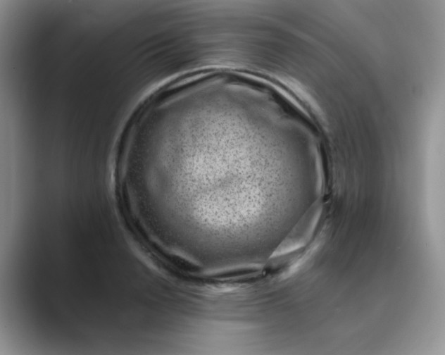 X0000089710846200707051700