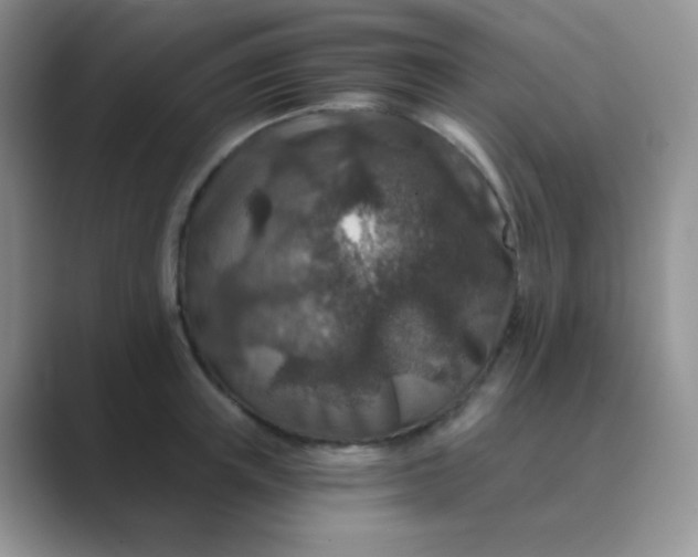 X0000089710851200707051700