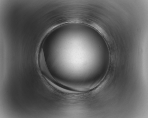 X0000089710854200707051700