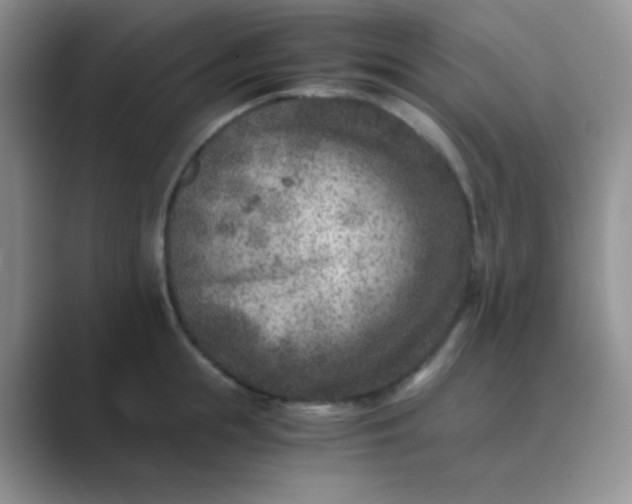 X0000089710855200707051700